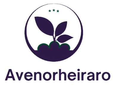 Avenorheiraro